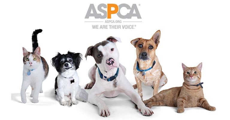 reputable a/c repair near you